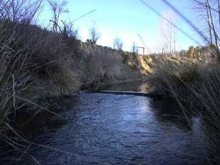 Small trout stream