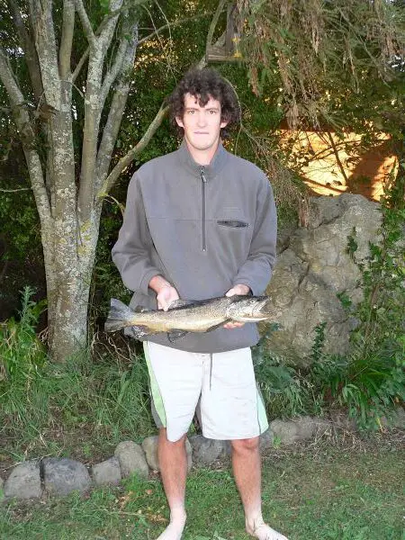 The first brown trout I ever caught