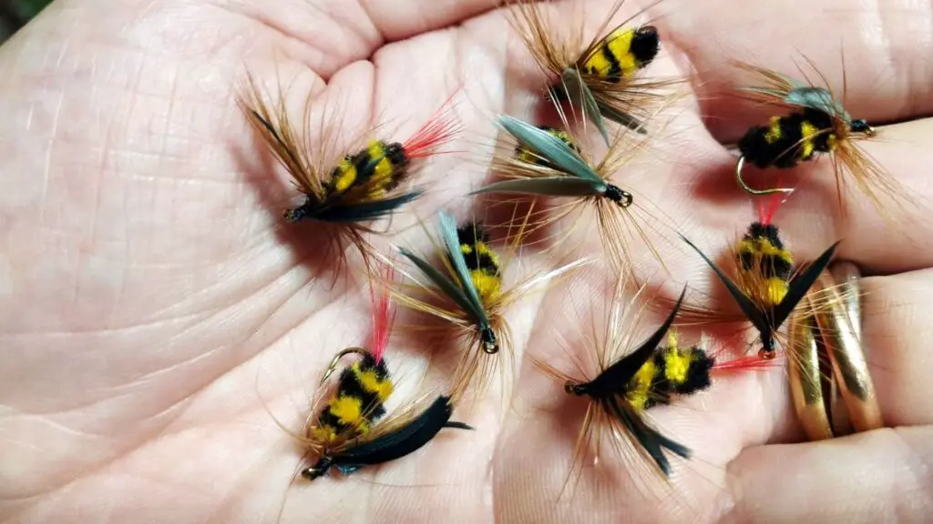 Bee Flies – Do They Deserve a Spot in Your Fly Box? - Trout Resource